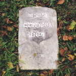 Calvin B. York's gravestone