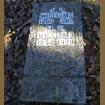 Joseph L. Williams' gravestone