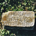 Thomas Harry's gravestone